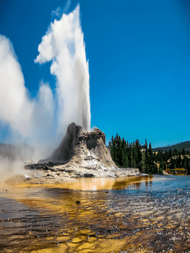 Castle Geyser erupting in Yellowstone National Park. Bacterial mats in the foreground. taken on a Teton Excursions tour to Yellowstone National Park