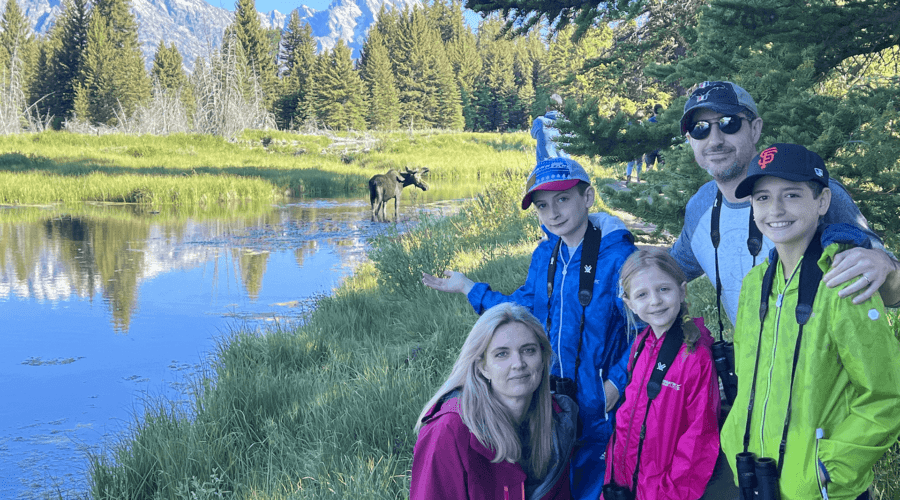 A young bull moose walks across the reflective pond at Schwabacher's Landing in Grand Teton National Park. A young family watches the moose and the mountains. Taken on a Teton Excursions tour to Grand Teton National Park.